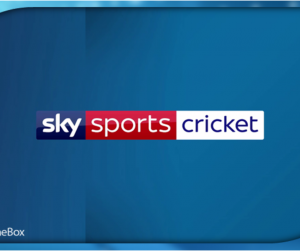 Sky Cricket